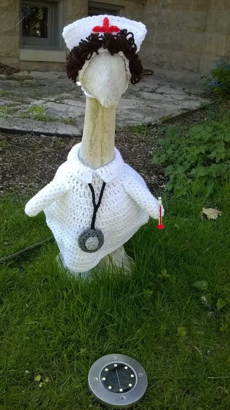 Goose treasure